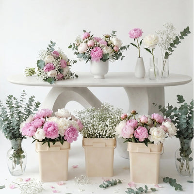 Pivoine Romantique