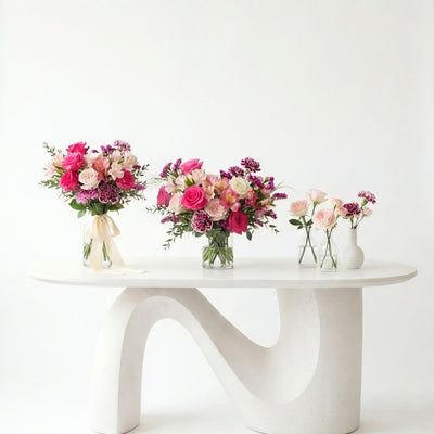 Audace Rose
