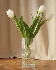 Tulipe blanche