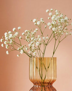 Gypsophile
