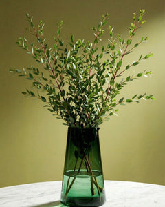 Eucalyptus
