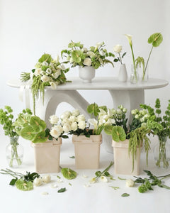 Pack de fleurs fraîches - DIY "Green Modern"