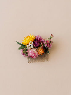 Peigne Multicolor